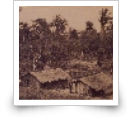 Cabinda – Uma sansala e paysagem