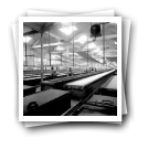 Operários a trabalhar na secção de estampagem, Fábrica Têxtil Sampaio Ferreira & Cia. Lda., Riba de Ave
