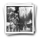 Carnaval de 1906 - [Cortejo dos] Fenianos: Grupo dos 29 [ em desfile no jardim do Palácio de Cristal]