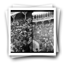 Touros na [Praça da] Rua da Alegria em 1902 [: Assistência na bancada]