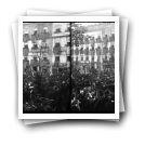 Festas Régias de D. Manuel II no Porto [: Aspeto da Praça de D. Pedro IV, em frente ao Palácio das Cardosas aquando da passagem do rei na visita à Câmara Municipal]