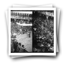 Touros na [Praça da] Rua da Alegria em 1902