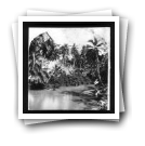 [Ilha de São Tomé: Vista de rio (reprodução)]