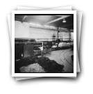 Operários na sala do tratamento do algodão, Fábrica de Fiação e Tecidos do Rio Vizela