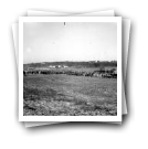 Corrida de cavalos, Granja, Vila Nova de Gaia