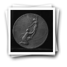 Medalha da Exposição Internacional do Rio de Janeiro de 1922-1923
