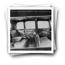 Interior de automóvel (reprodução de prova)