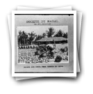 Société du Madal - Quelimane: Quebra dos cocos para fabrico da copra (reprodução)