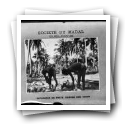 Société du Madal - Quelimane: Separação da parte fibrosa dos cocos. Quelimane (reprodução)