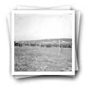 Corrida de cavalos, Granja, Vila Nova de Gaia