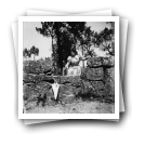 Retrato de mulher junto a muro de pedra em espaço arborizado