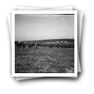 Corrida de cavalos, Granja, Vila Nova de Gaia