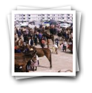 Feira de cavalos, Lamego