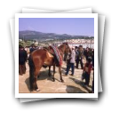 Feira de cavalos, Lamego