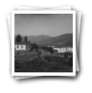 [Alto Douro - zona de Lamego: Paisagem]