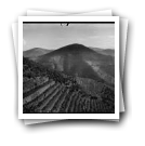 [Alto Douro vinhateiro: Panorâmica de paisagem de vinha (parte 1/3)]