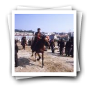 Feira de cavalos, Lamego