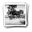 Carro "boer", Sá da Bandeira (Lubango), Angola