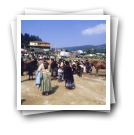 Feira de cavalos, Lamego