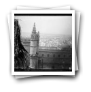 [Sevilha - Espanha: Vista da cidade tirada da catedral]