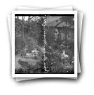 Nova Cintra, Maio de 1915 [: Aurélio da Paz dos Reis no seu jardim]