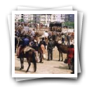 Feira de cavalos, Lamego