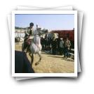 Feira de cavalos, Lamego