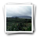 Vista do monte de Santa Tecla com nevoeiro, região do Alto Minho