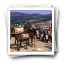 Feira de cavalos, Lamego