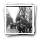Carnaval de 1906 - [Cortejo dos] Fenianos: Grupo dos 29 [ em desfile no jardim do Palácio de Cristal]