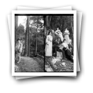 Melgaço, 1903 [: Grupo com Aurélio Paz dos Reis no pinhal]