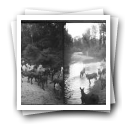Coimbra, 1905 [: Tropa de cavalos à beira rio]