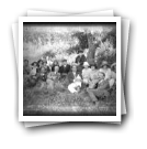 [Chaves, julho de 1922: Aurélio da Paz dos Reis, família e amigos após piquenique no campo]