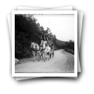 [Chaves, julho de 1922: Aurélio da Paz dos Reis, família e amigos em passeio numa charrete]