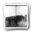 [Festas Garretianas no Porto, 1902: Carro engalanado do Sr. Manuel Reis]